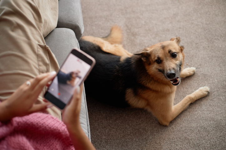 Feature photo: What House Rules Should You Set for Your House Sitters?